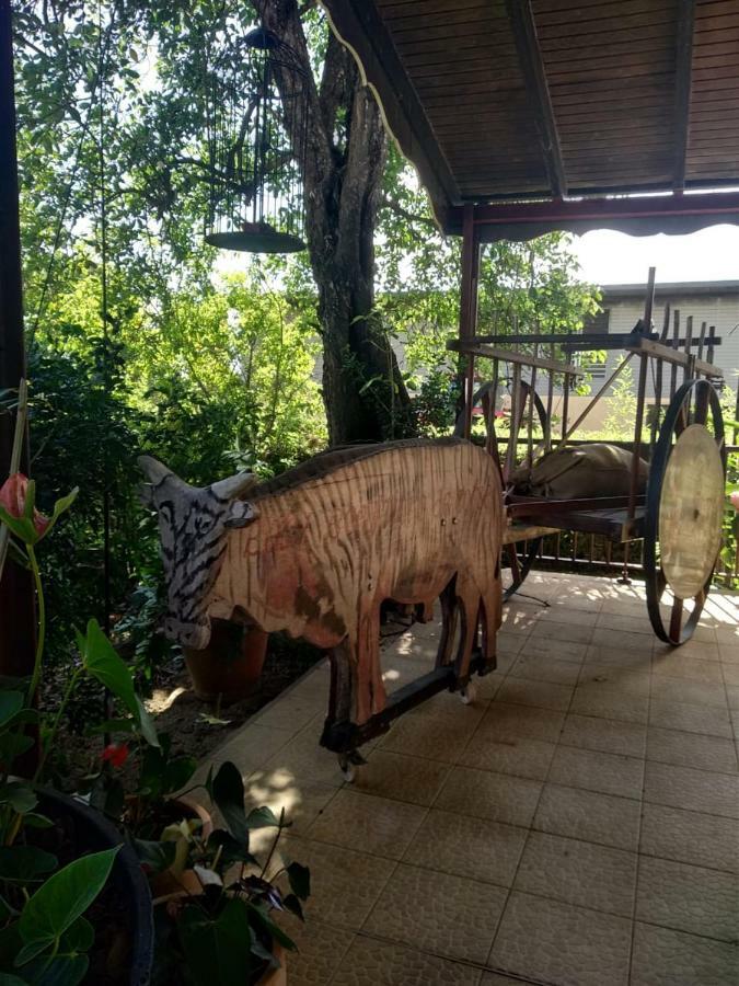 Ti Kaz En Bois Villa Sainte-Rose Eksteriør billede